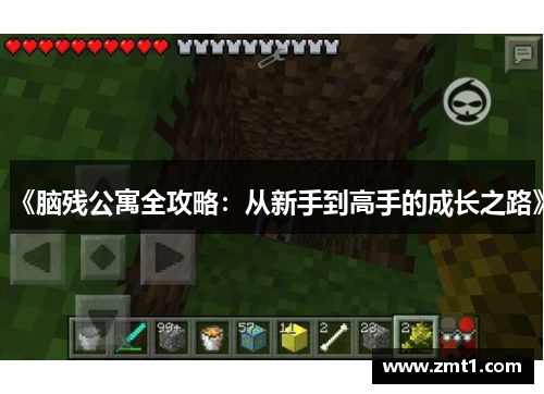 《脑残公寓全攻略：从新手到高手的成长之路》